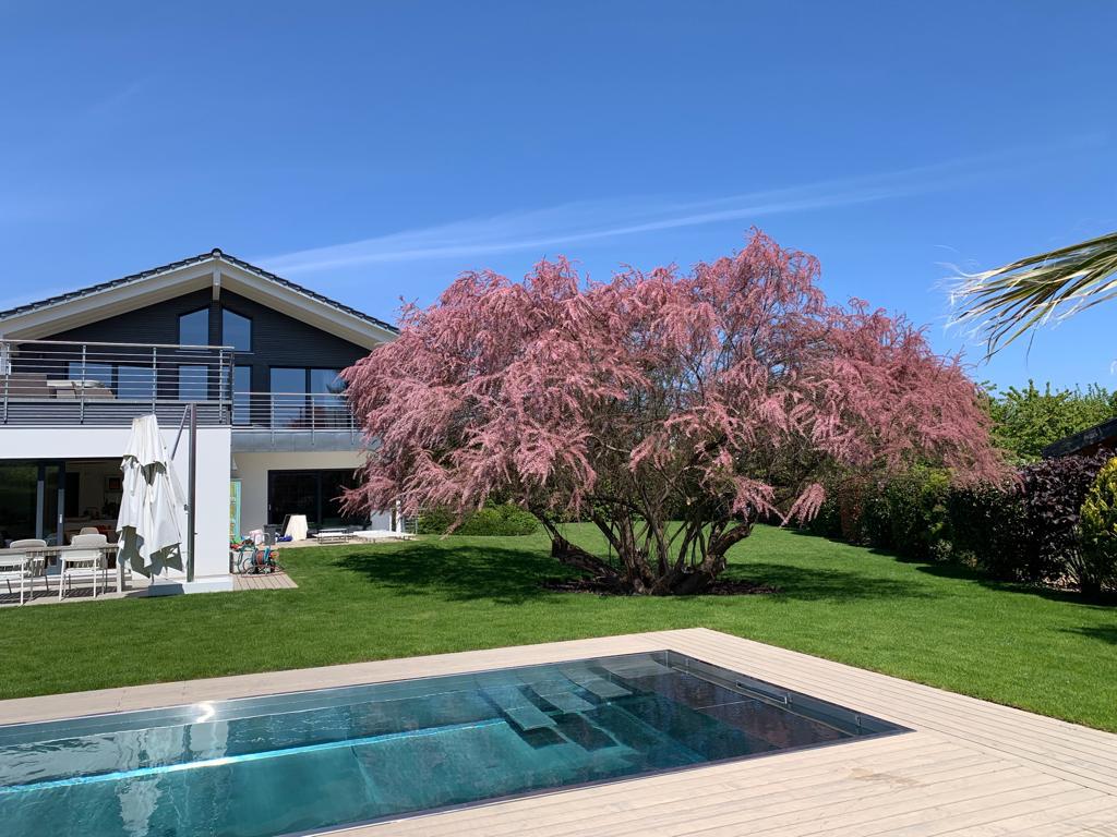 Création de piscine en inox en Occitanie 